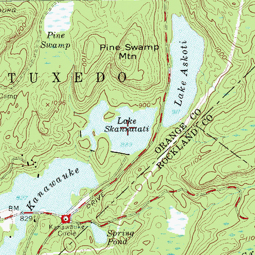 Topographic Map of Lake Skannatati, NY