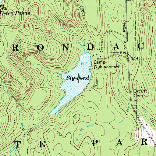 Topographic Map of Sly Pond, NY