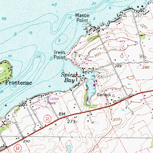 Topographic Map of Spicer Bay, NY