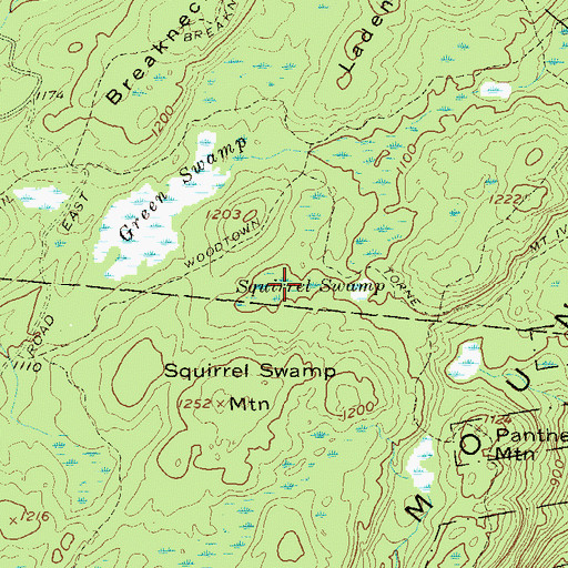 Topographic Map of Squirrel Swamp, NY