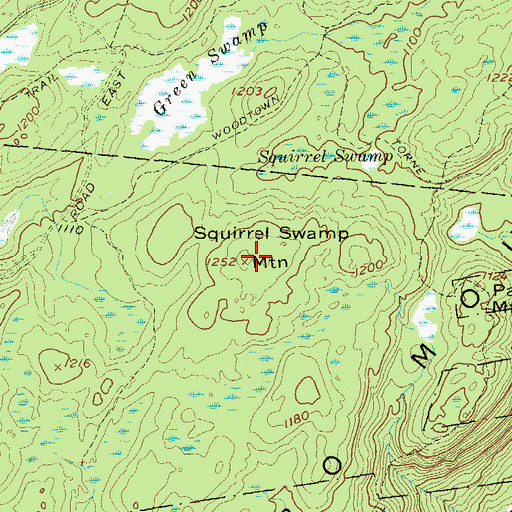 Topographic Map of Squirrel Swamp Mountain, NY
