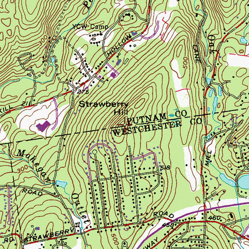 Topographic Map of Strawberry Hill, NY