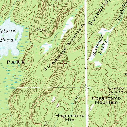 Topographic Map of Surebridge Mountain, NY