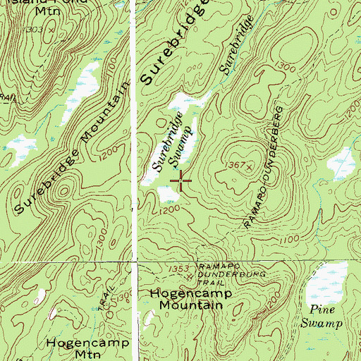 Topographic Map of Surebridge Swamp, NY