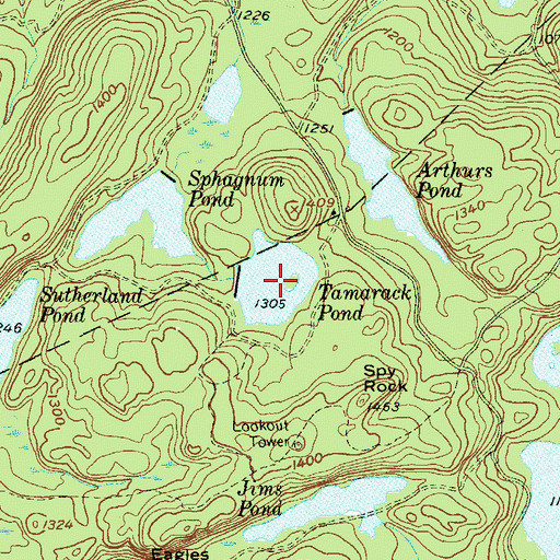 Topographic Map of Tamarack Pond, NY
