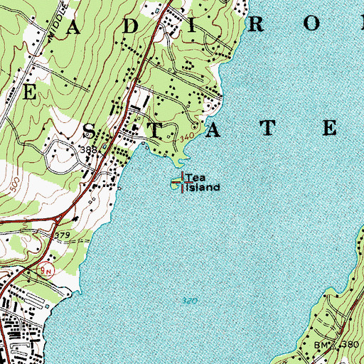 Topographic Map of Tea Island, NY