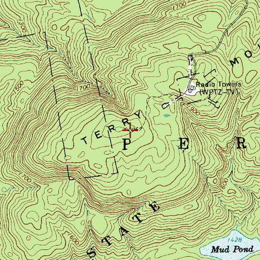 Topographic Map of Terry Mountain, NY