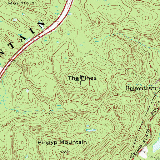 Topographic Map of The Pines, NY
