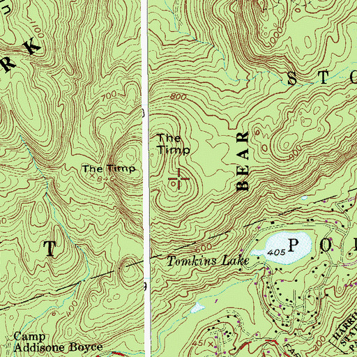 Topographic Map of The Timp, NY