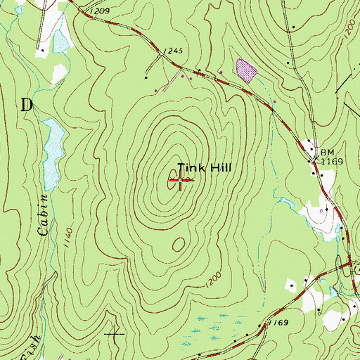 Topographic Map of Tink Hill, NY