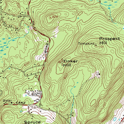 Topographic Map of Tinker Hill, NY