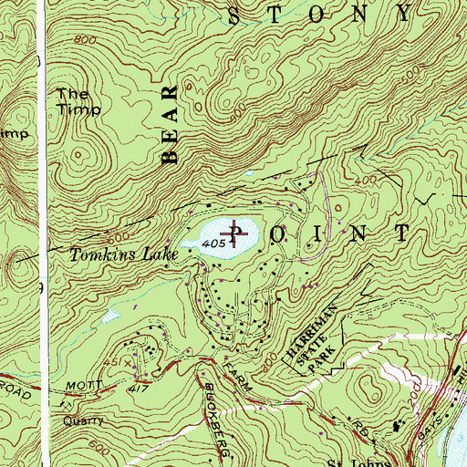 Topographic Map of Tomkins Lake, NY