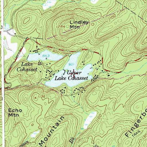 Topographic Map of Upper Lake Cohasset, NY