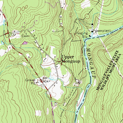 Topographic Map of Upper Mongaup, NY