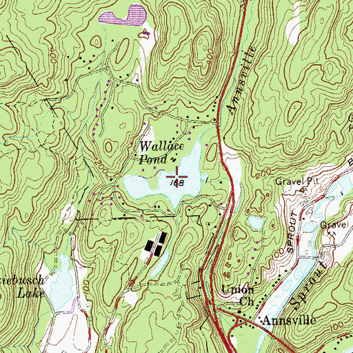 Topographic Map of Wallace Pond, NY