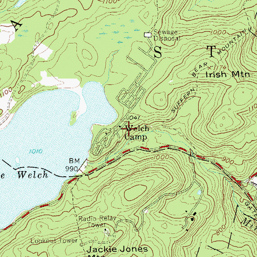 Topographic Map of Welch Camp, NY