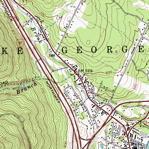 Topographic Map of Big Hollow Branch, NY