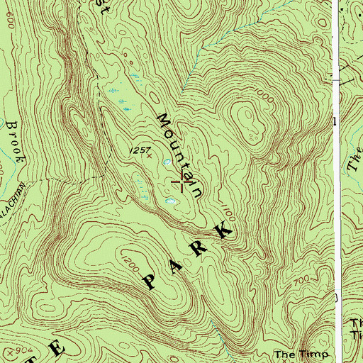Topographic Map of West Mountain, NY