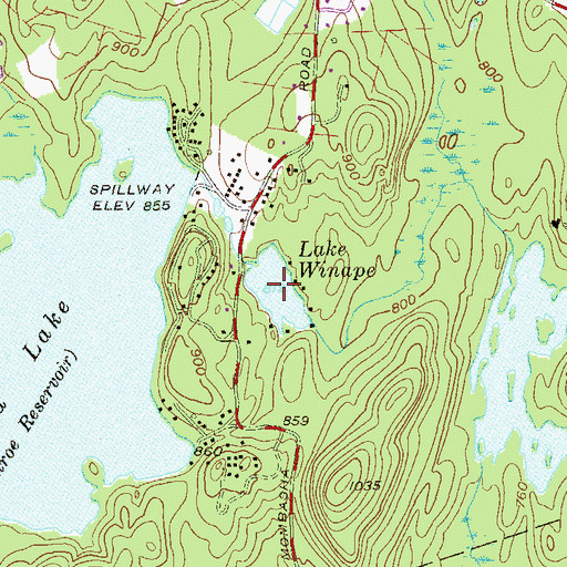 Topographic Map of Lake Winape, NY