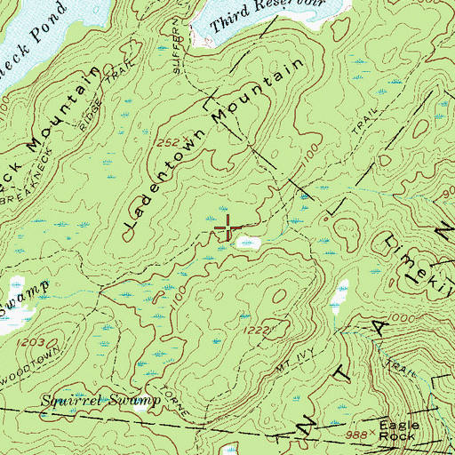 Topographic Map of Woodtown Trail, NY