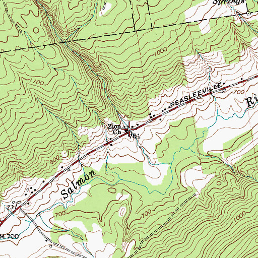 Topographic Map of Zion Church, NY