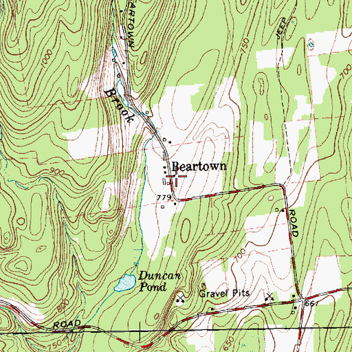 Topographic Map of Beartown, NY