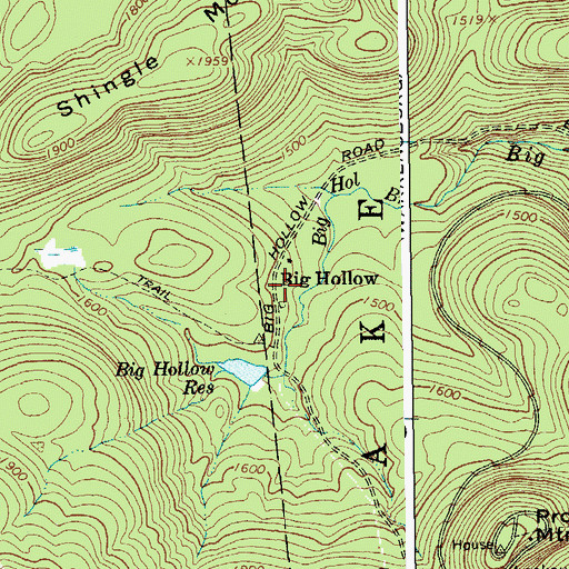 Topographic Map of Big Hollow, NY