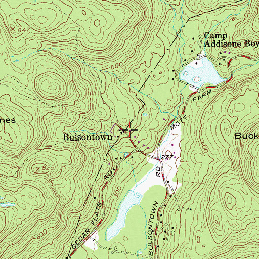Topographic Map of Bulsontown, NY