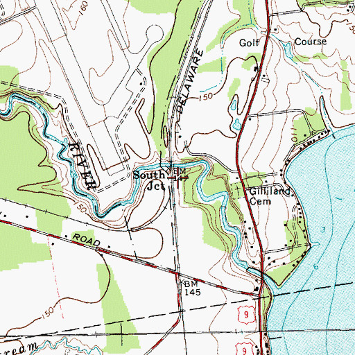 Topographic Map of South Junction, NY