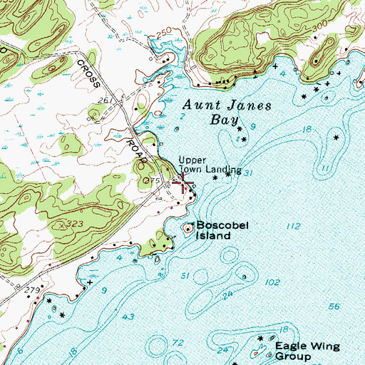 Topographic Map of Upper Town Landing, NY