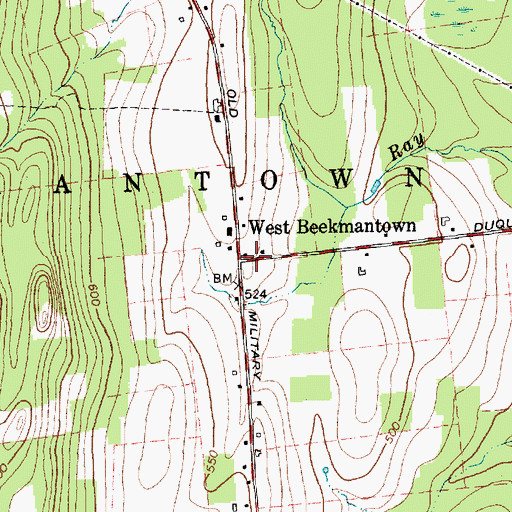 Topographic Map of West Beekmantown, NY