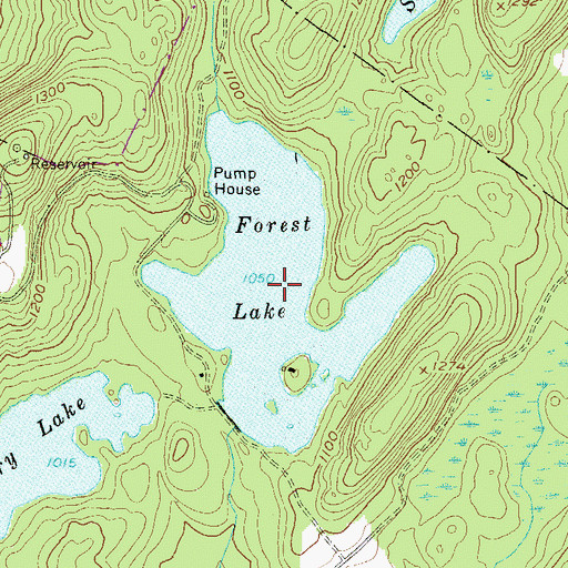 Topographic Map of Forest Lake, NY