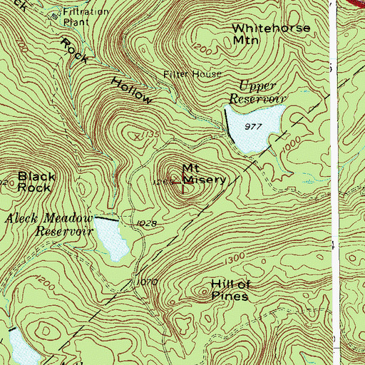 Topographic Map of Mount Misery, NY