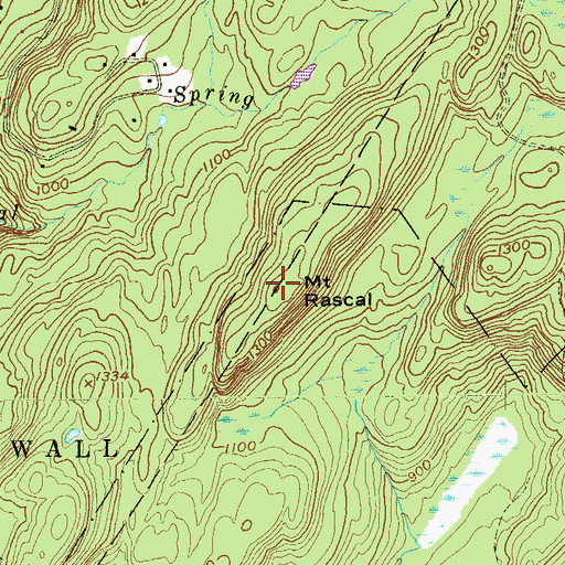 Topographic Map of Mount Rascal, NY