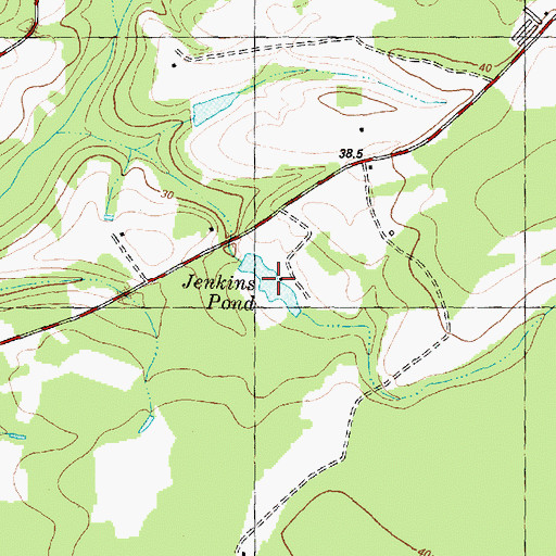 Topographic Map of Jenkins Pond, NC