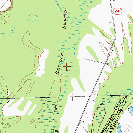 Topographic Map of Raccoon Swamp, NC