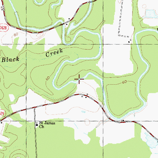 Topographic Map of Turner Swamp, NC