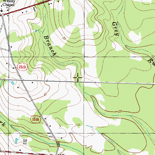 Topographic Map of Welch Branch, NC