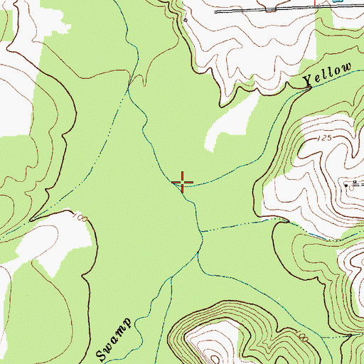 Topographic Map of Yellow Marsh Branch, NC