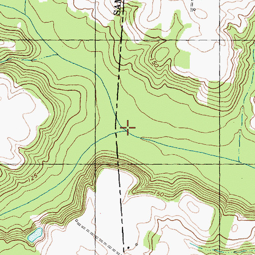 Topographic Map of Youngs Swamp, NC