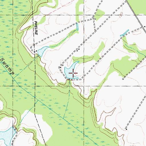 Topographic Map of Woodards Pond Dam, NC