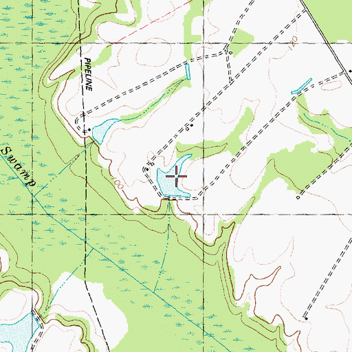 Topographic Map of Woodards Pond, NC