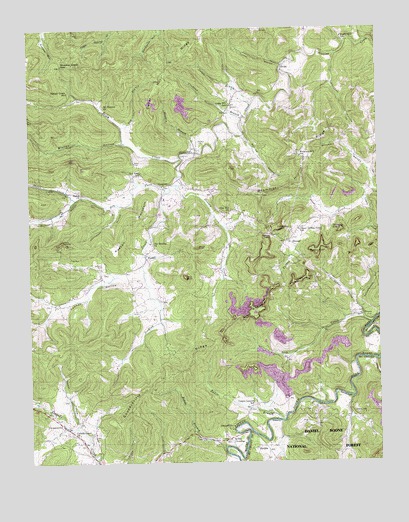 Coopersville, KY USGS Topographic Map