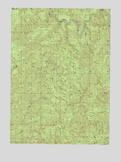 Coos Mountain, OR USGS Topographic Map