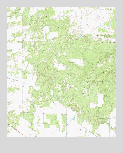 Cope Branch, TX USGS Topographic Map