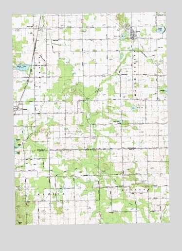 Coral, MI USGS Topographic Map