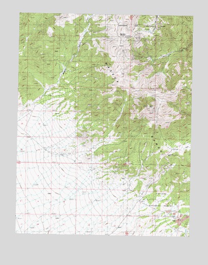 Corey Peak, NV USGS Topographic Map
