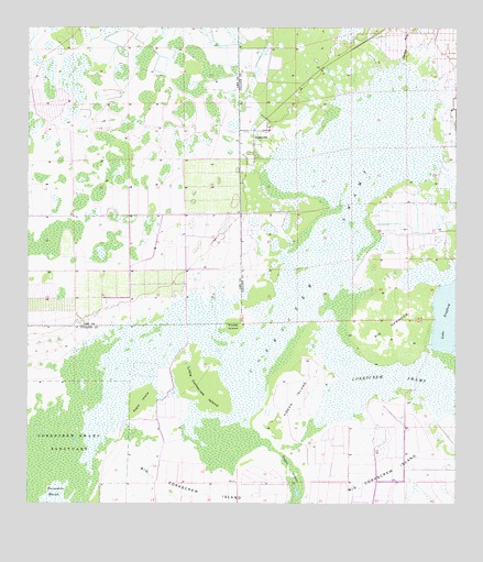 Corkscrew, FL USGS Topographic Map