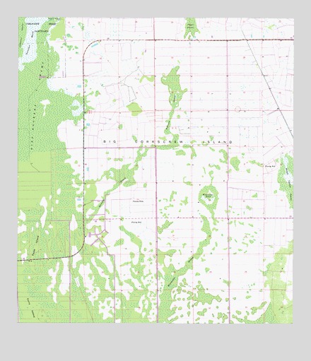 Corkscrew SE, FL USGS Topographic Map