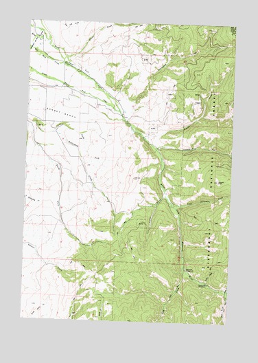 Corley Gulch, MT USGS Topographic Map
